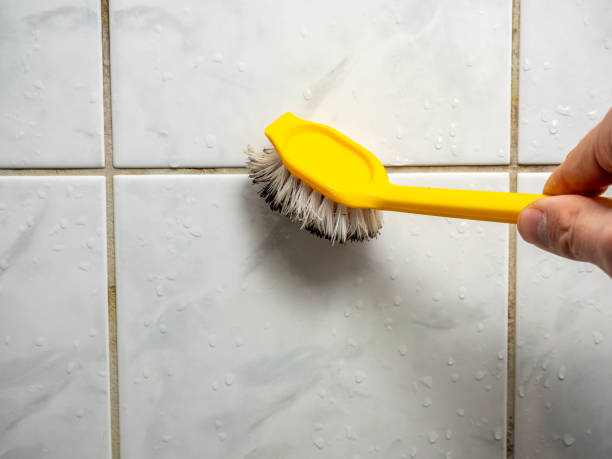 Best Mold Remediation for Specific Building Types in Perry, KS