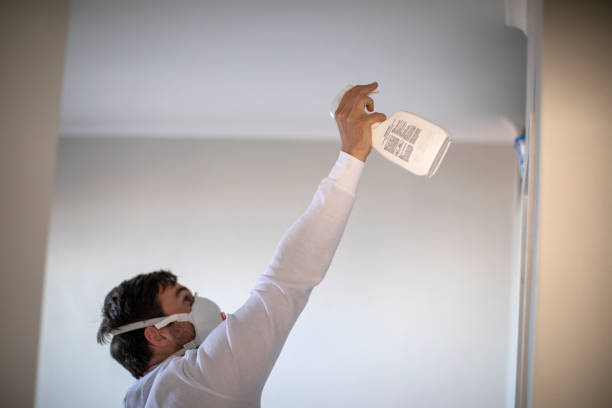 Best Post-Remediation Services in Perry, KS