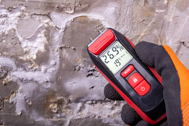 Best Mold Remediation for Schools in Perry, KS