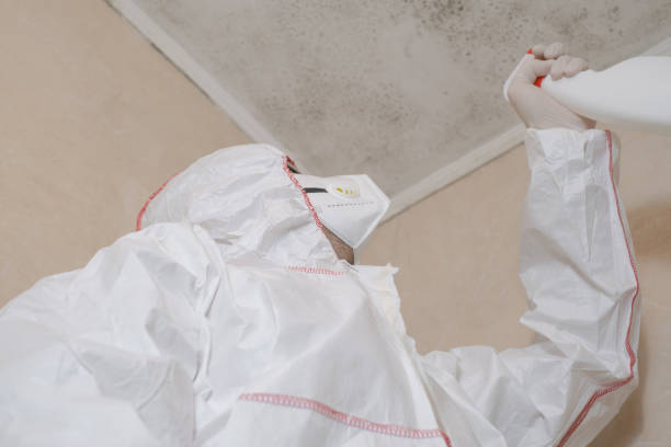 Best HVAC Mold Remediation in Perry, KS